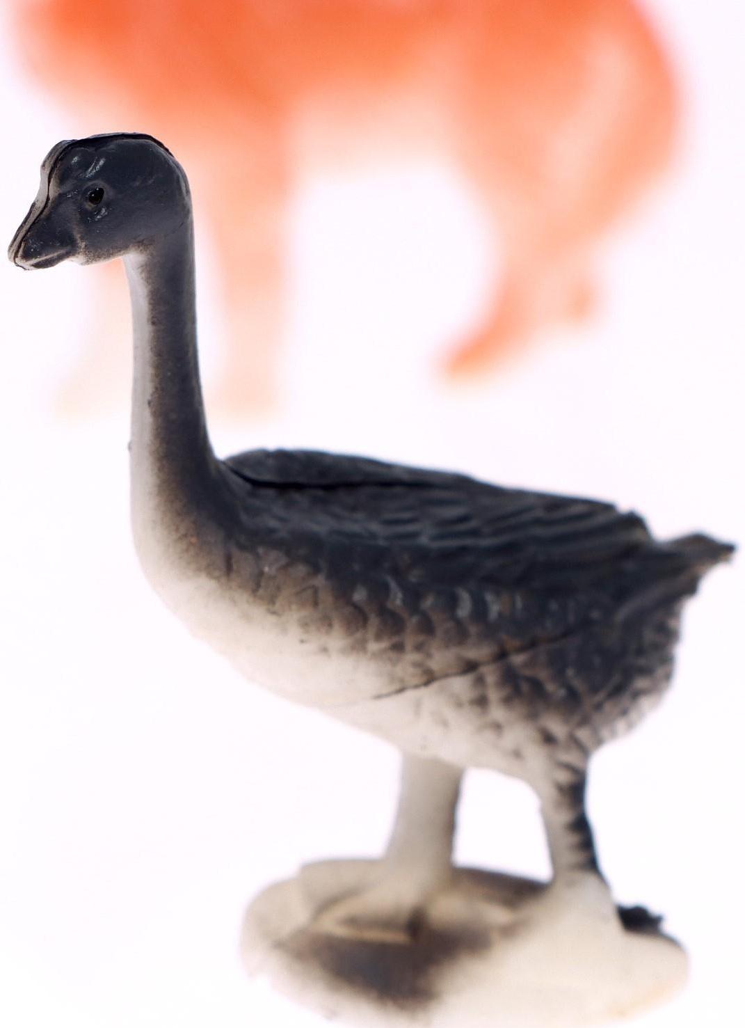 Набор фигурок животных с обучающими карточками «Домашние животные»