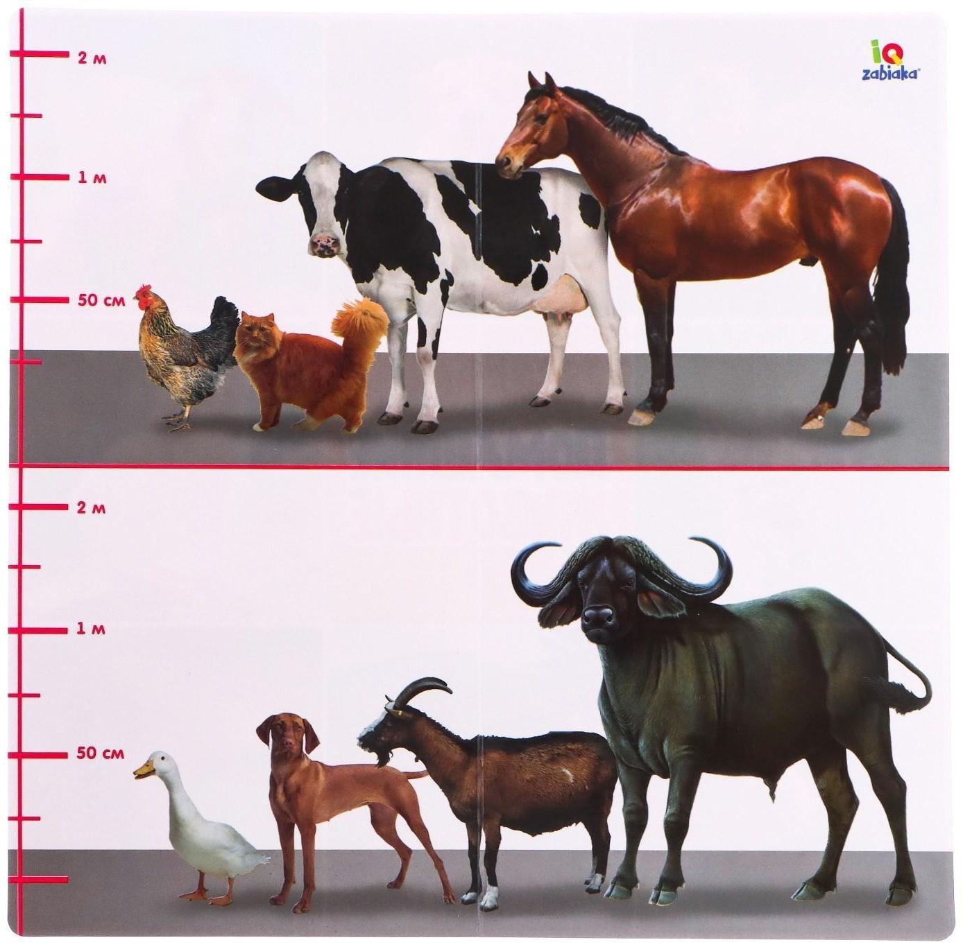 Набор фигурок животных с обучающими карточками «Домашние животные»