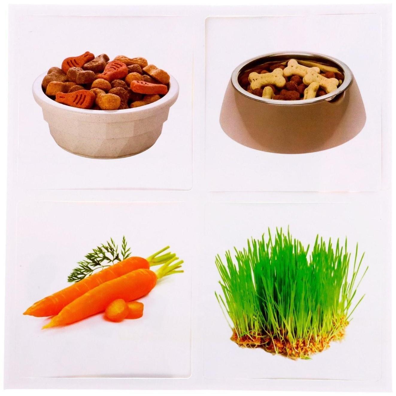 Набор фигурок животных с обучающими карточками «Домашние животные»