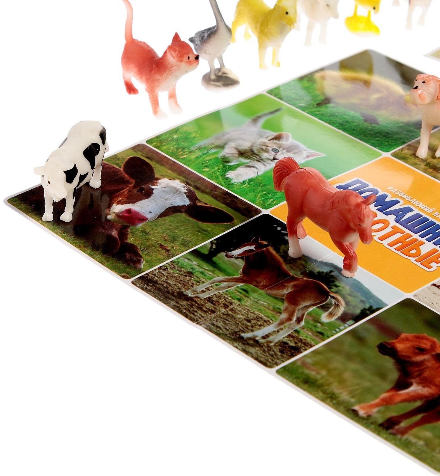 Набор фигурок животных с обучающими карточками «Домашние животные»
