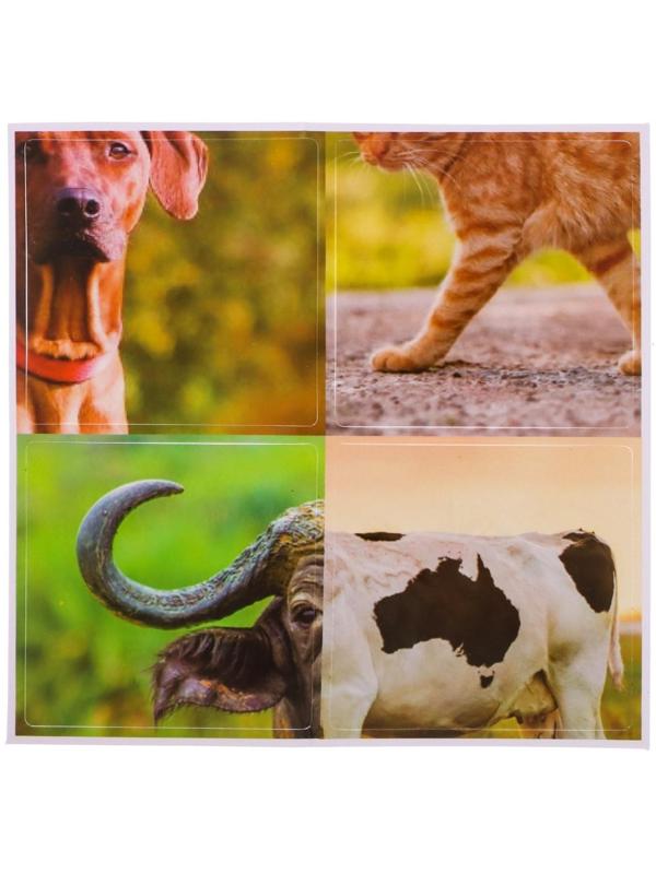 Набор фигурок животных с обучающими карточками «Домашние животные»
