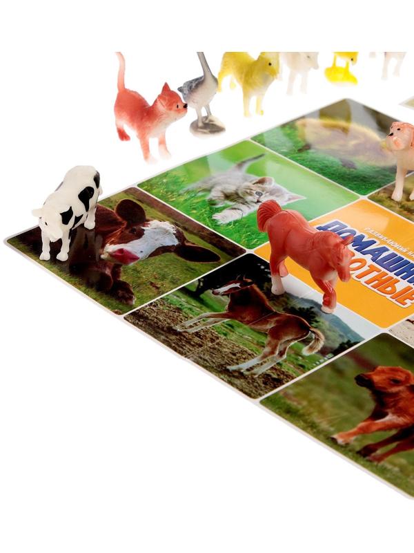 Набор фигурок животных с обучающими карточками «Домашние животные»