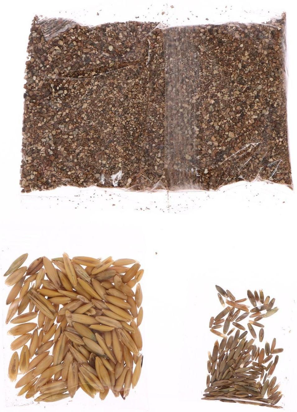 Набор для опытов «Мой мини сад»