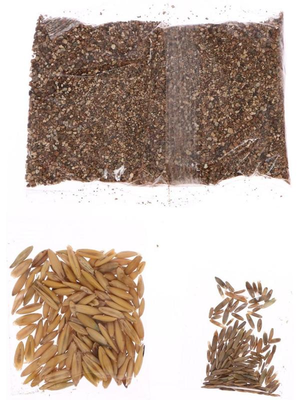 Набор для опытов «Мой мини сад»