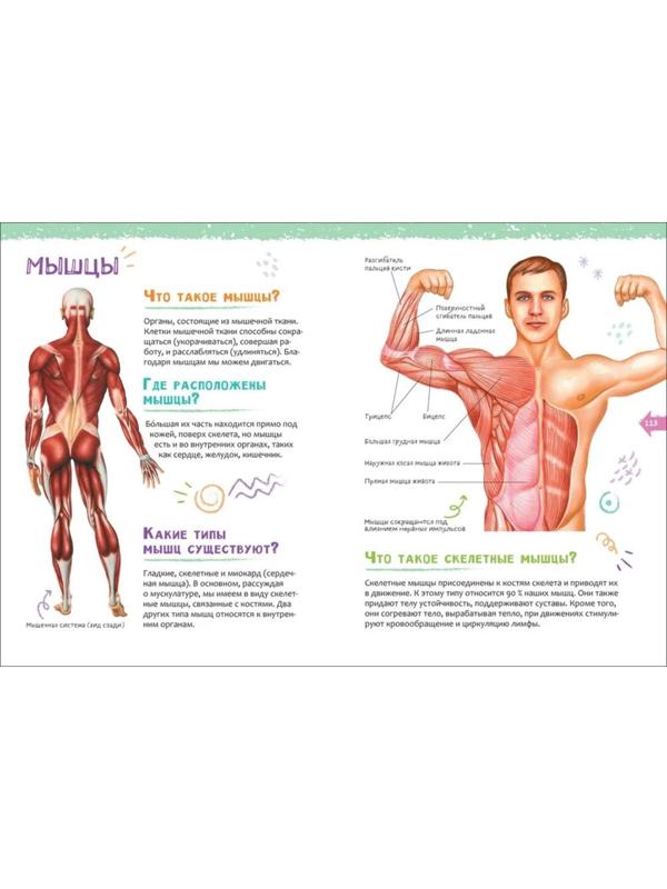 Новая детская энциклопедия «Человек»