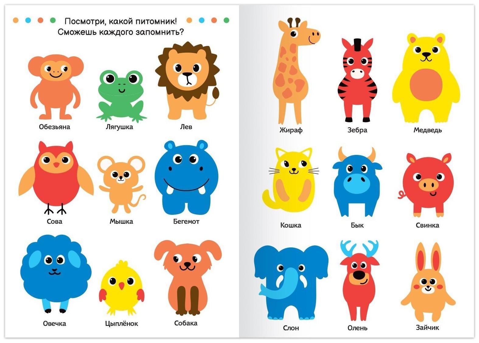 Книги- игры набор «Играем и развиваемся вместе», 4 шт. по 24 стр.