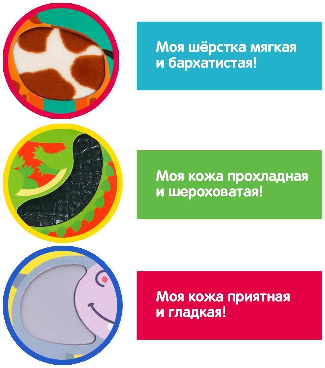 Развивающий набор «Животные Африки», тактильные карточки