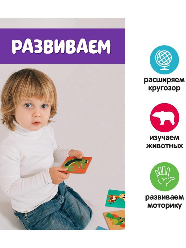 Развивающий набор «Животные Африки», тактильные карточки