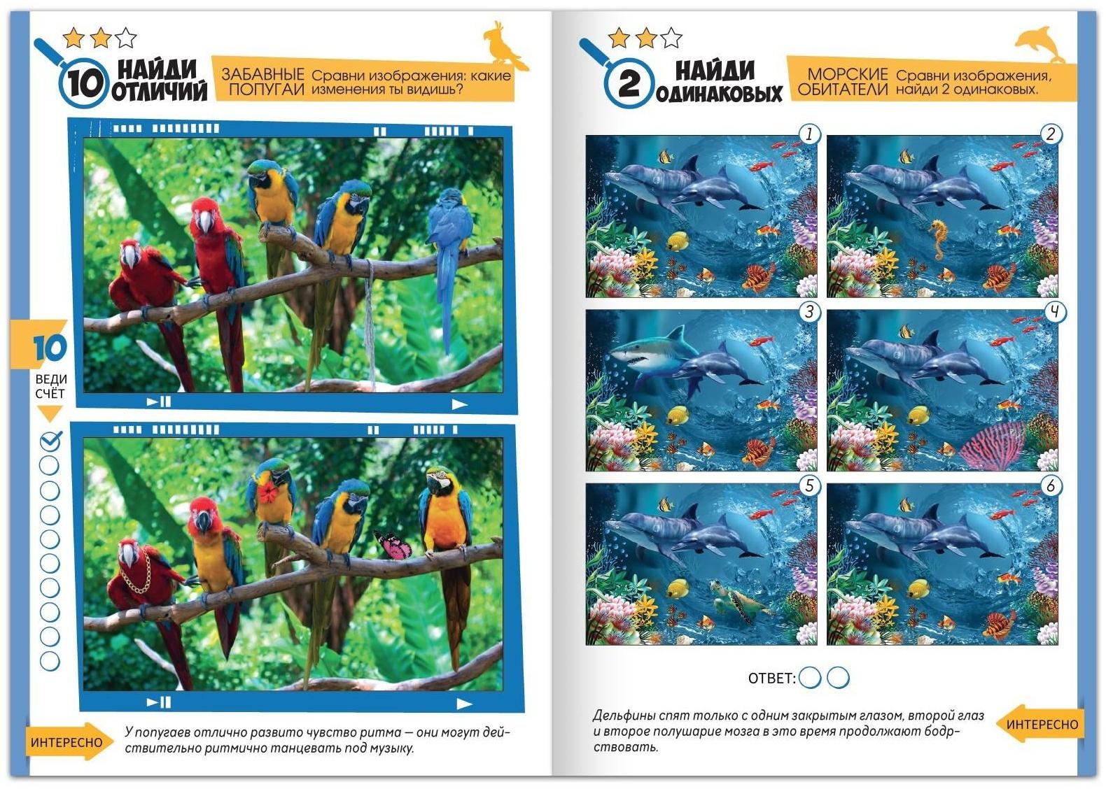 Набор книг «Найди отличия», 2 шт. по 16 стр.