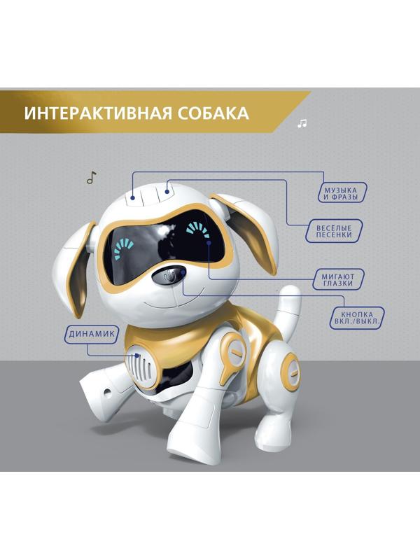 Робот-собака «Чаппи», русское озвучивание, световые и звуковые эффекты, цвет золотой