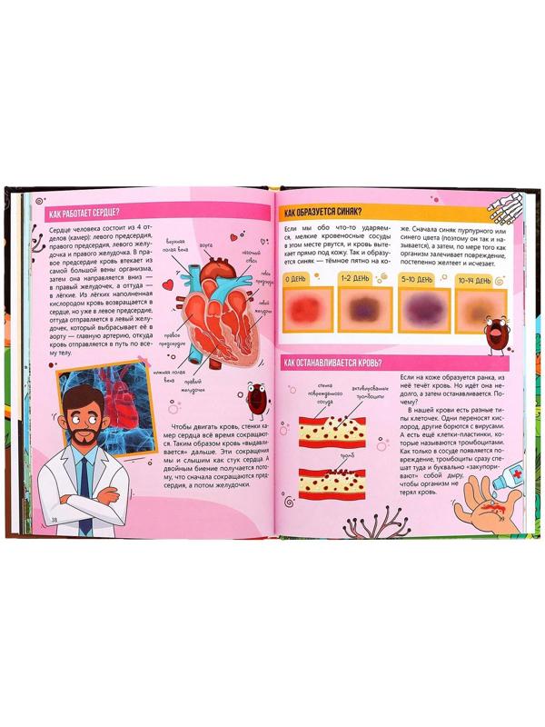 Энциклопедия в твёрдом переплёте «Как всё устроено», 64 стр.