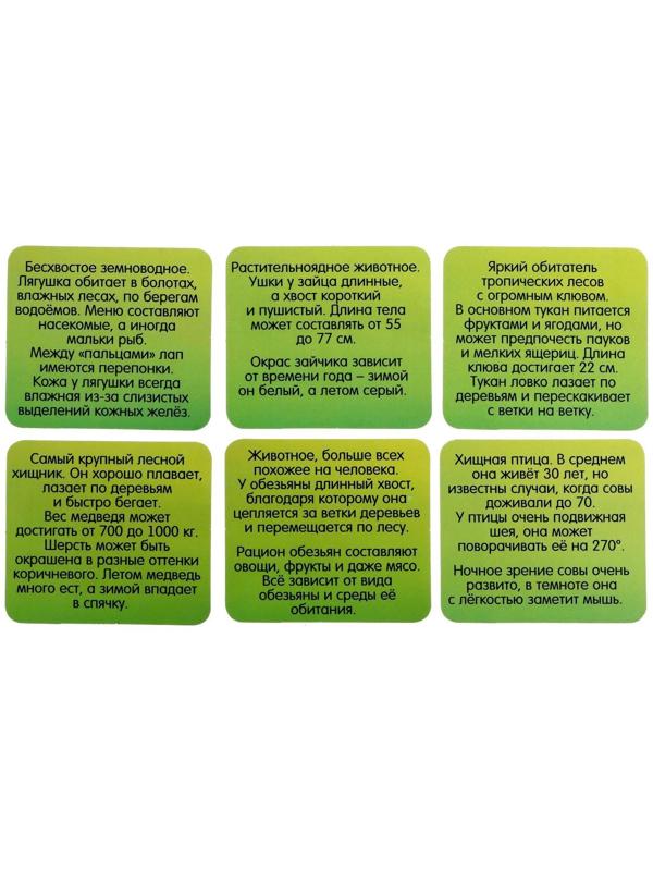 Развивающий набор «Весёлые зверята», сортер, задания на карточках, маркер