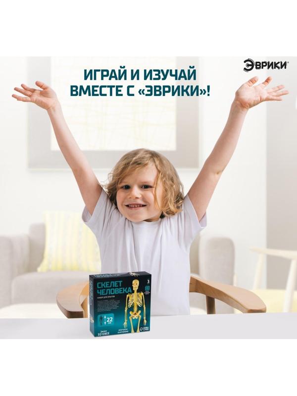 Набор для опытов «Скелет человека»