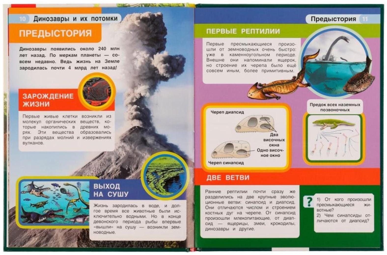 Динозавры и их потомки. Петр Михайлович Волцит. Энциклопедия с развивающими заданиями.