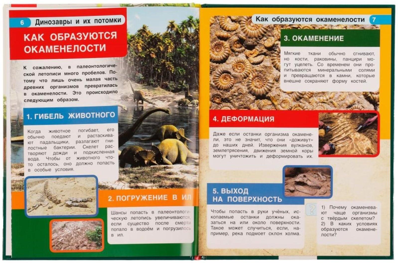 Динозавры и их потомки. Петр Михайлович Волцит. Энциклопедия с развивающими заданиями.