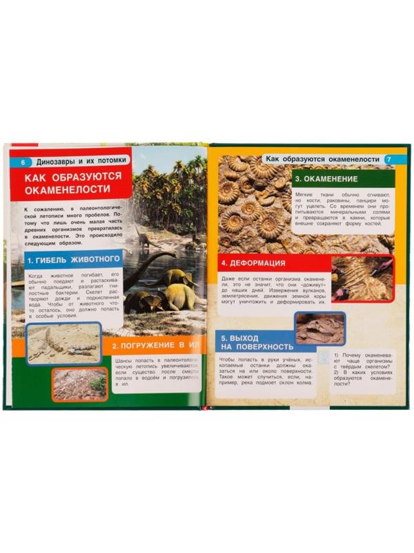 Динозавры и их потомки. Петр Михайлович Волцит. Энциклопедия с развивающими заданиями.