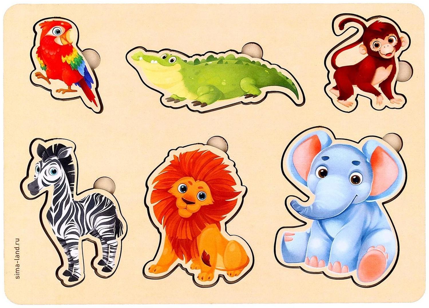 Вкладыш «Животные Африки», 6 вкладышей