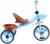 Велосипед трехколесный Micio Lutic, цвет голубой