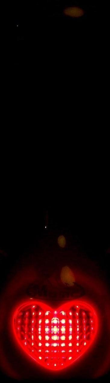 Музыкальная игрушка «Любимый дружок», цвет бежевый