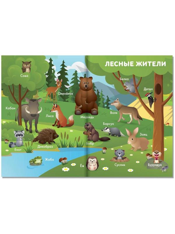 Книга-картинка «Обучающие плакаты», Дисней