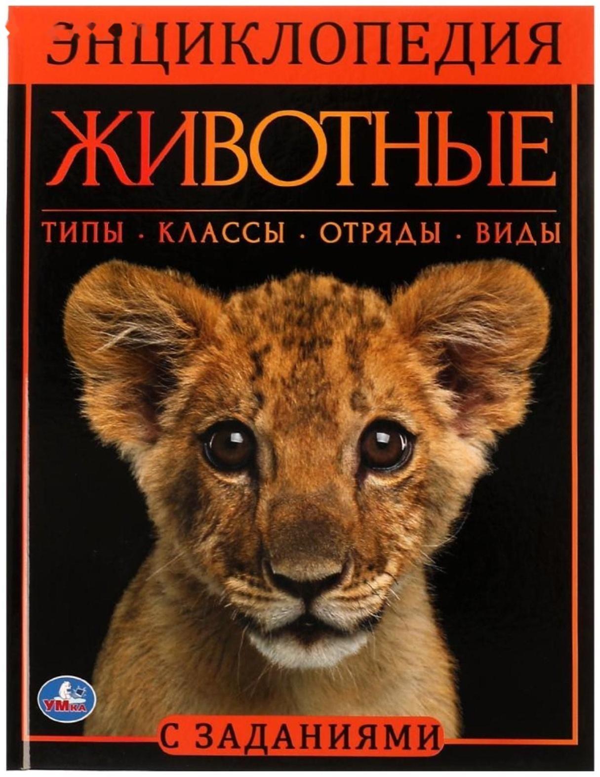 Животные. Энциклопедия А4. 48 стр.