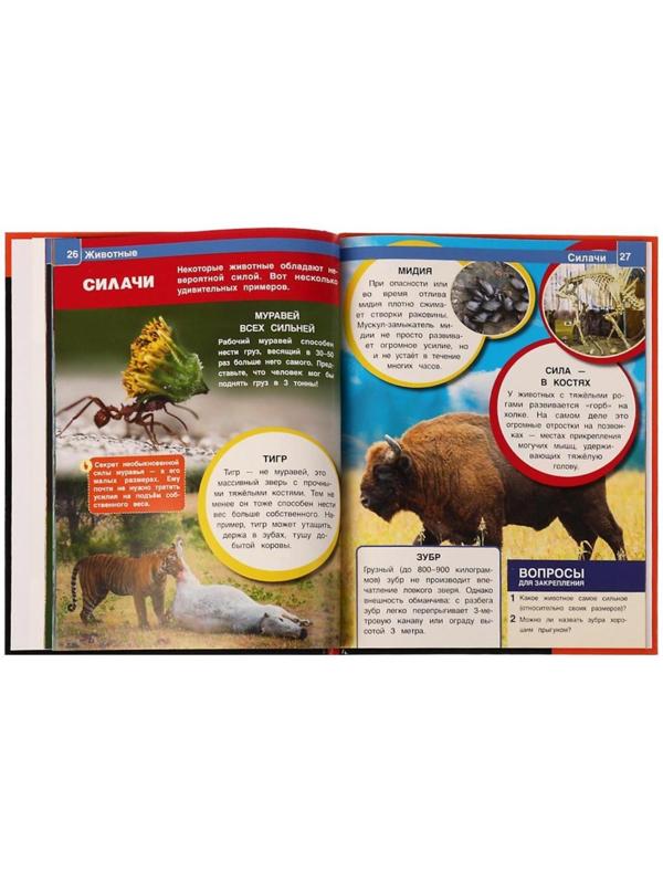 Животные. Энциклопедия А4. 48 стр.