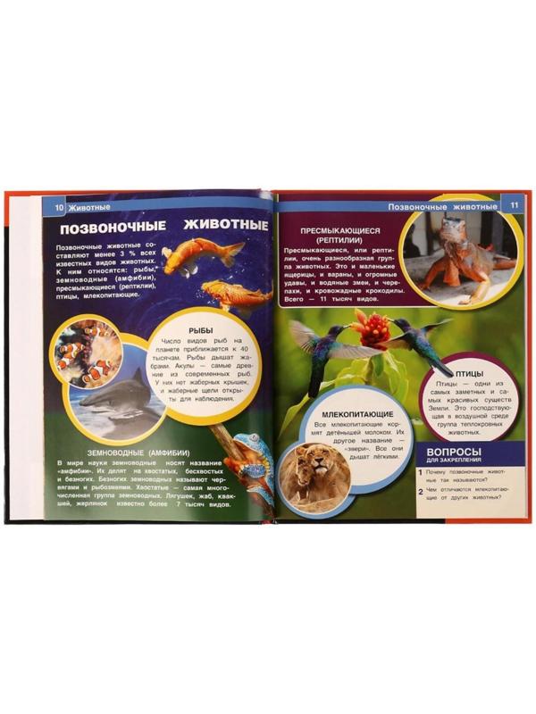 Животные. Энциклопедия А4. 48 стр.