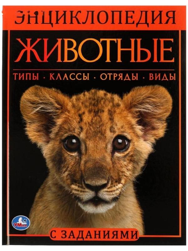 Животные. Энциклопедия А4. 48 стр.