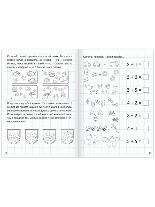 Набор книг «Считаю до 10 и 20», ФГОС ДО, 2 шт. по 48 стр.