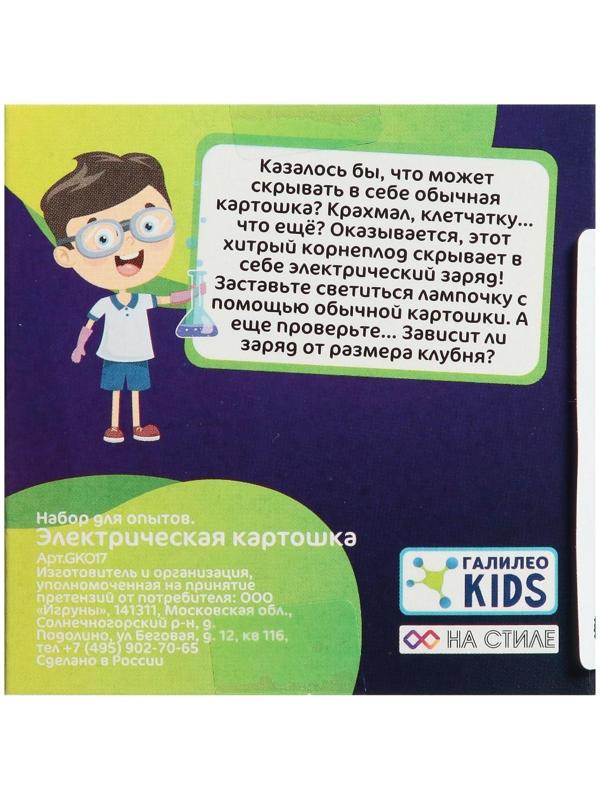 Набор для опытов «Электричество из картошки»