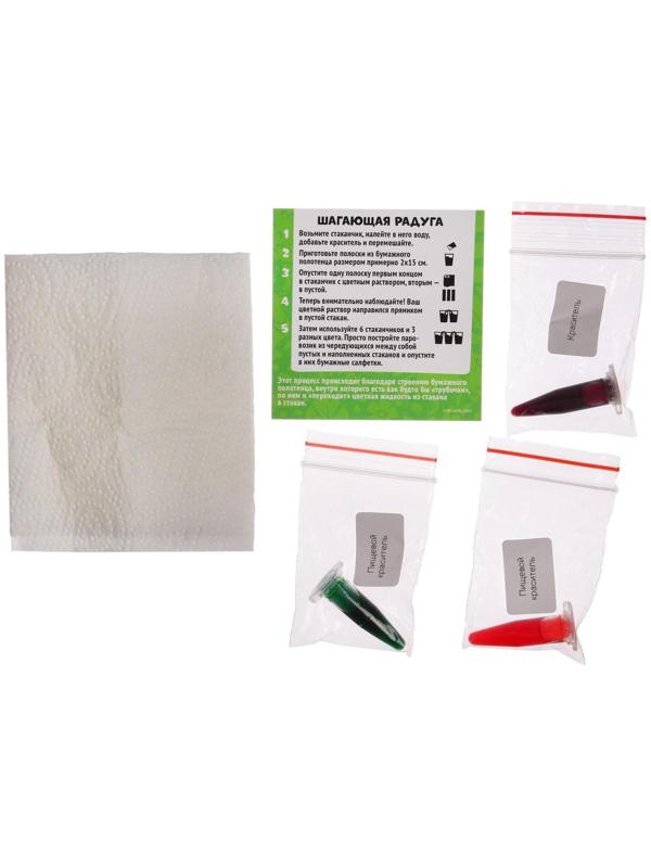 Набор для опытов «Шагающая радуга», Лео и Тиг