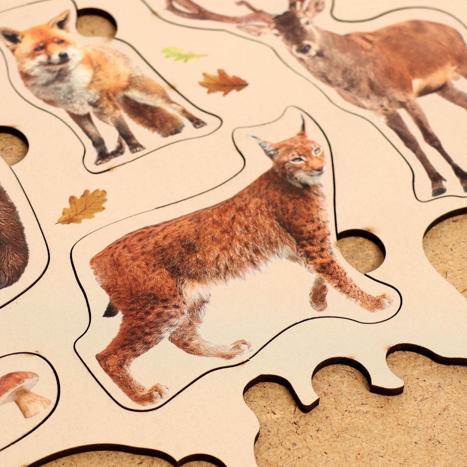 Рамка-вкладыш «Лесные животные»