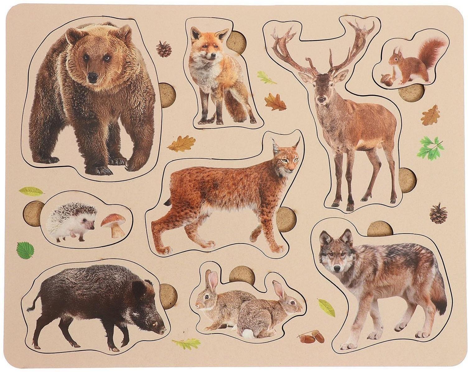 Рамка-вкладыш «Лесные животные»