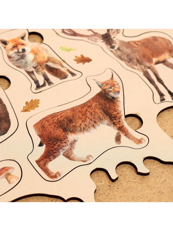 Рамка-вкладыш «Лесные животные»