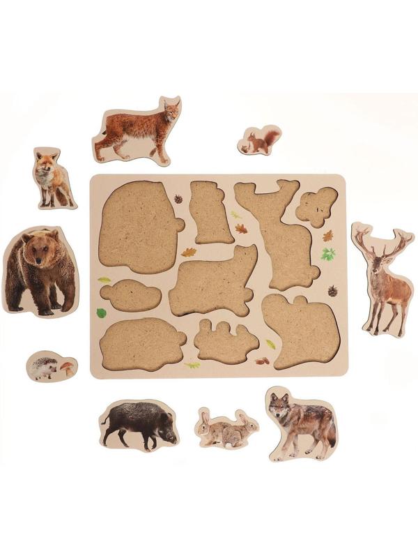 Рамка-вкладыш «Лесные животные»