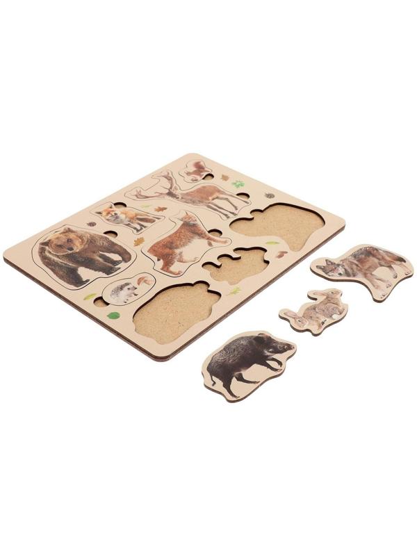 Рамка-вкладыш «Лесные животные»