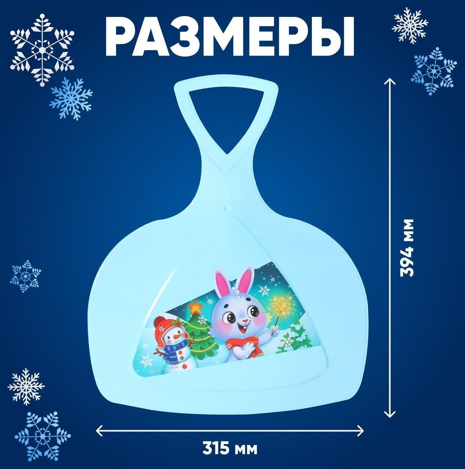 Ледянка «Новогодний заяц»