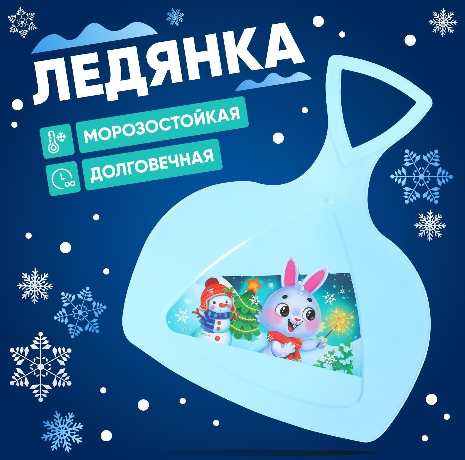 Ледянка «Новогодний заяц»