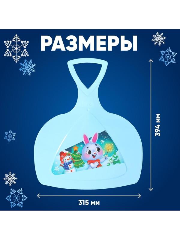 Ледянка «Новогодний заяц»