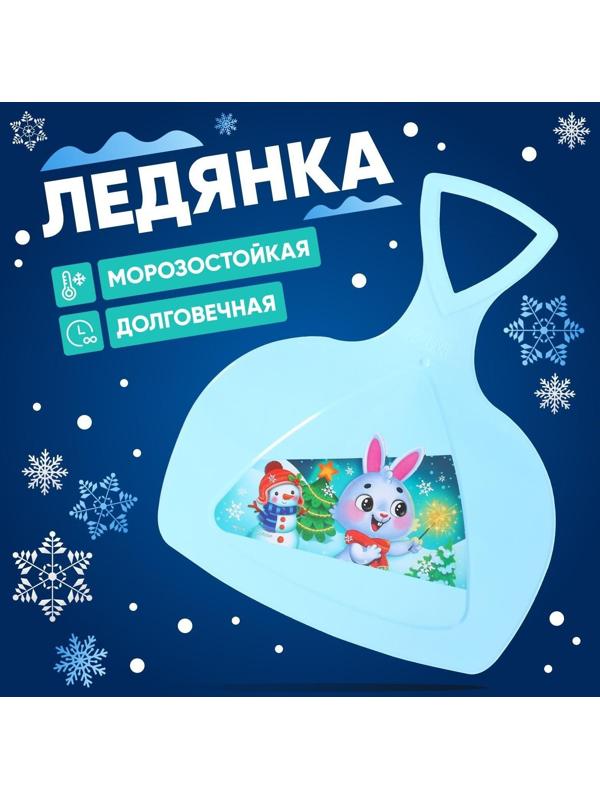 Ледянка «Новогодний заяц»