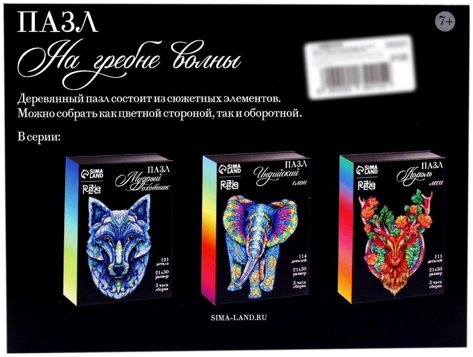 Пазл деревянный фигурный «На гребне волны»