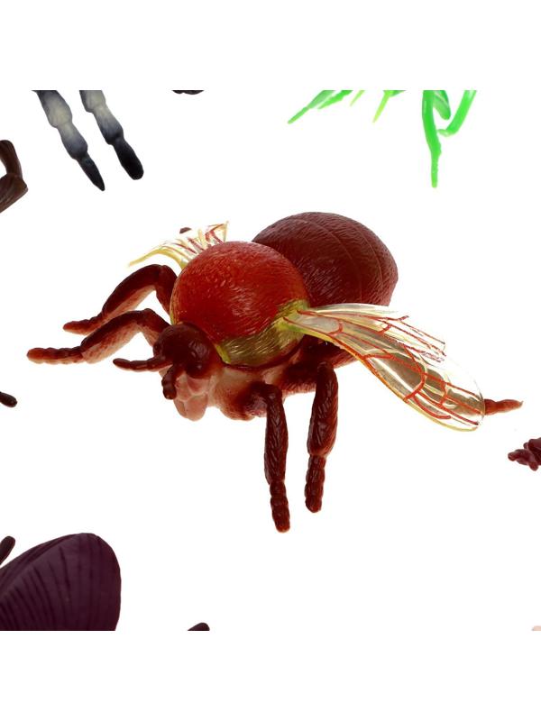 Набор животных «Насекомые», в банке