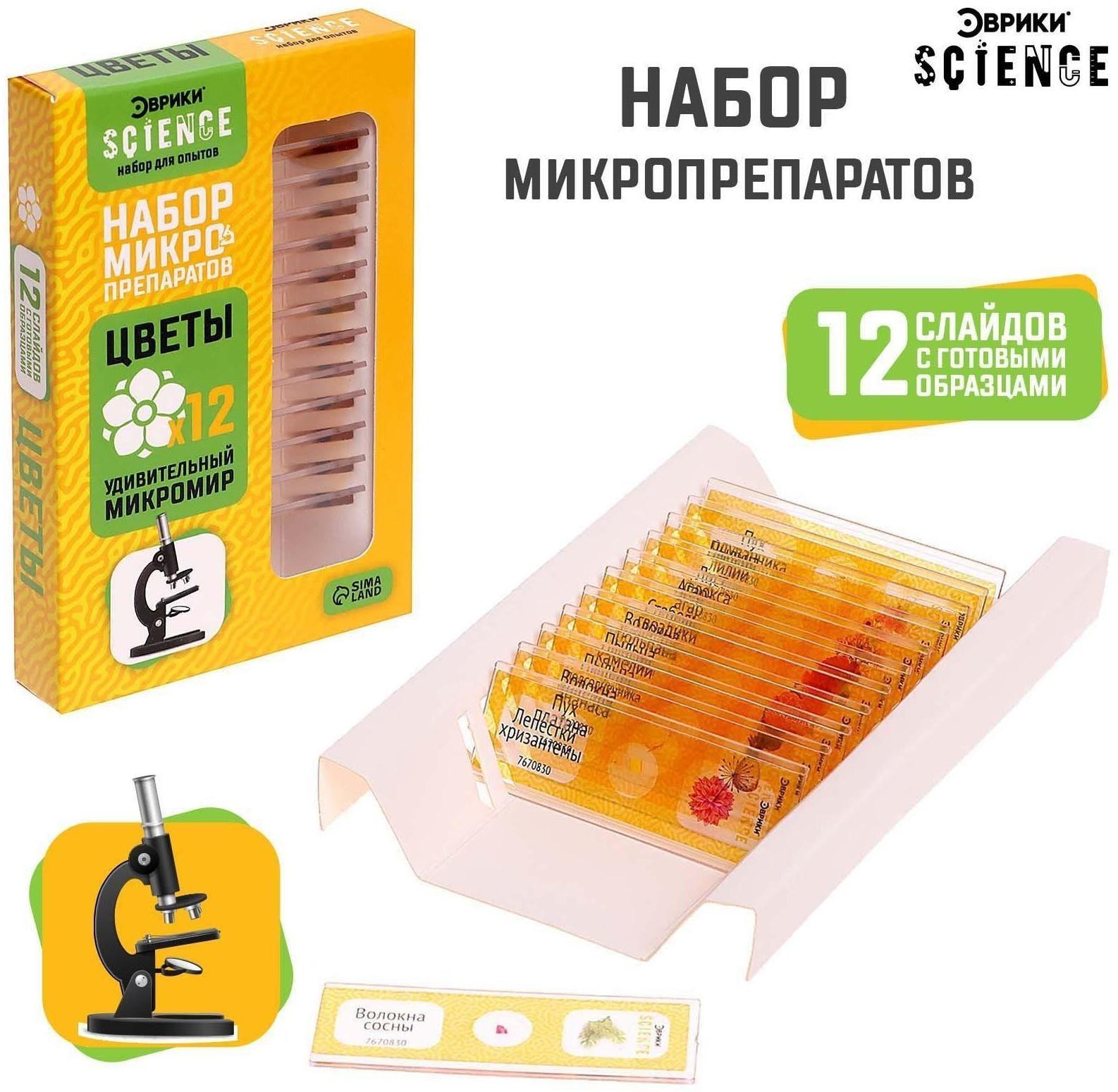 Набор для опытов «Набор микропрепаратов», цветы