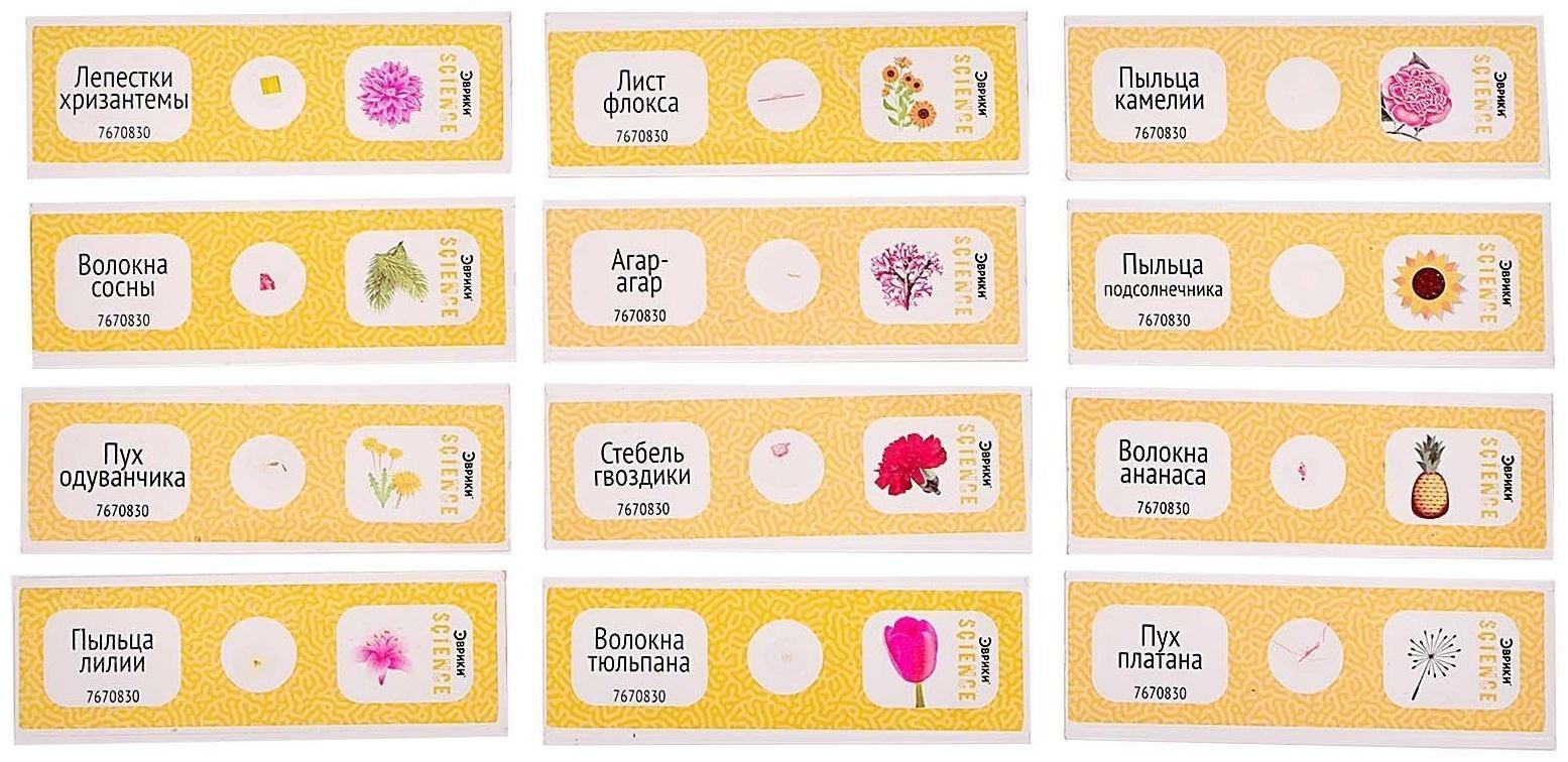 Набор для опытов «Набор микропрепаратов», цветы