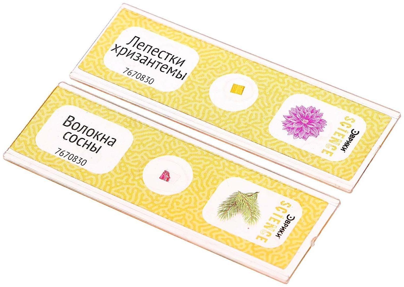 Набор для опытов «Набор микропрепаратов», цветы