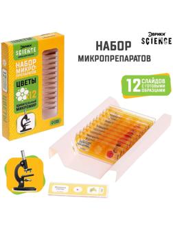 Набор для опытов «Набор микропрепаратов», цветы