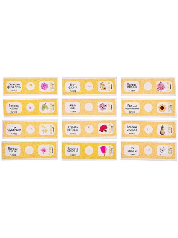 Набор для опытов «Набор микропрепаратов», цветы