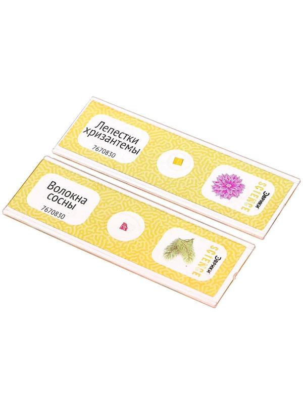 Набор для опытов «Набор микропрепаратов», цветы