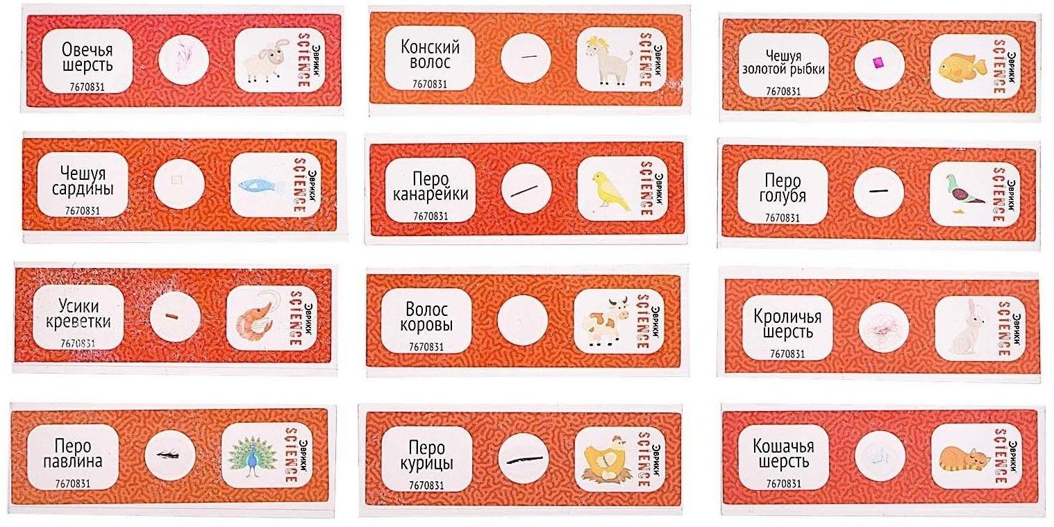 Набор для опытов «Набор микропрепаратов», животные