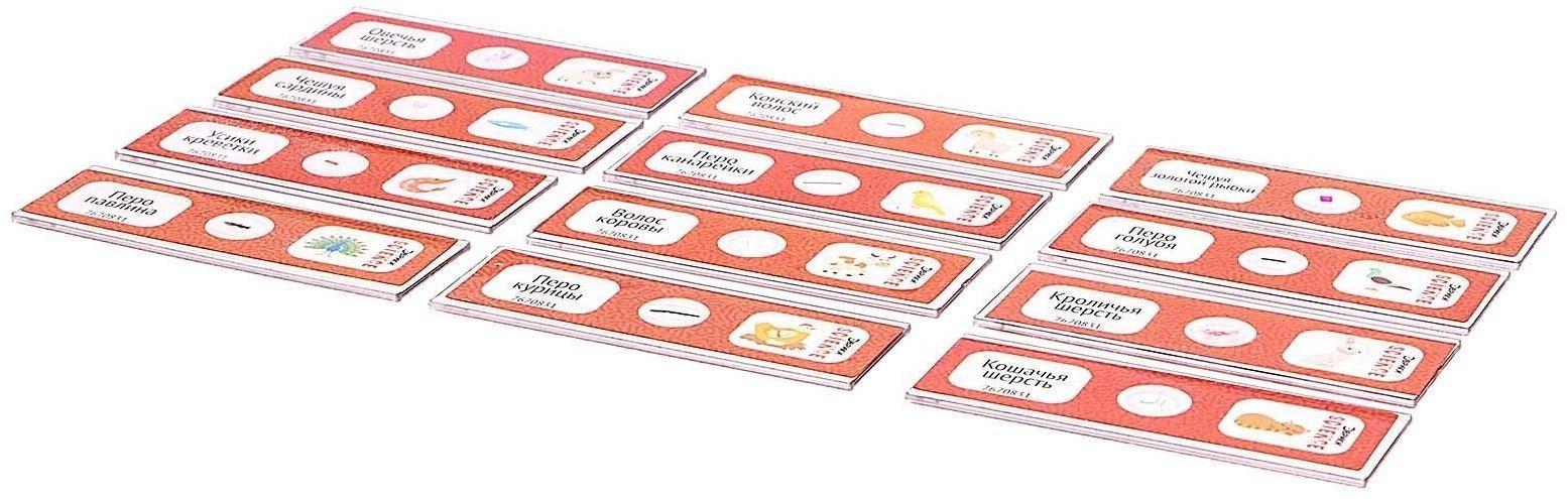 Набор для опытов «Набор микропрепаратов», животные